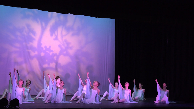 Dancers Performing in Ballet Show